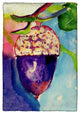 Betsy Drake Acorn Kitchen Towel