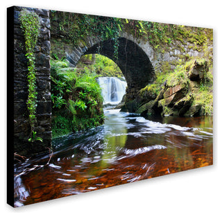 'Lush River' Canvas Art by Pierre Leclerc
