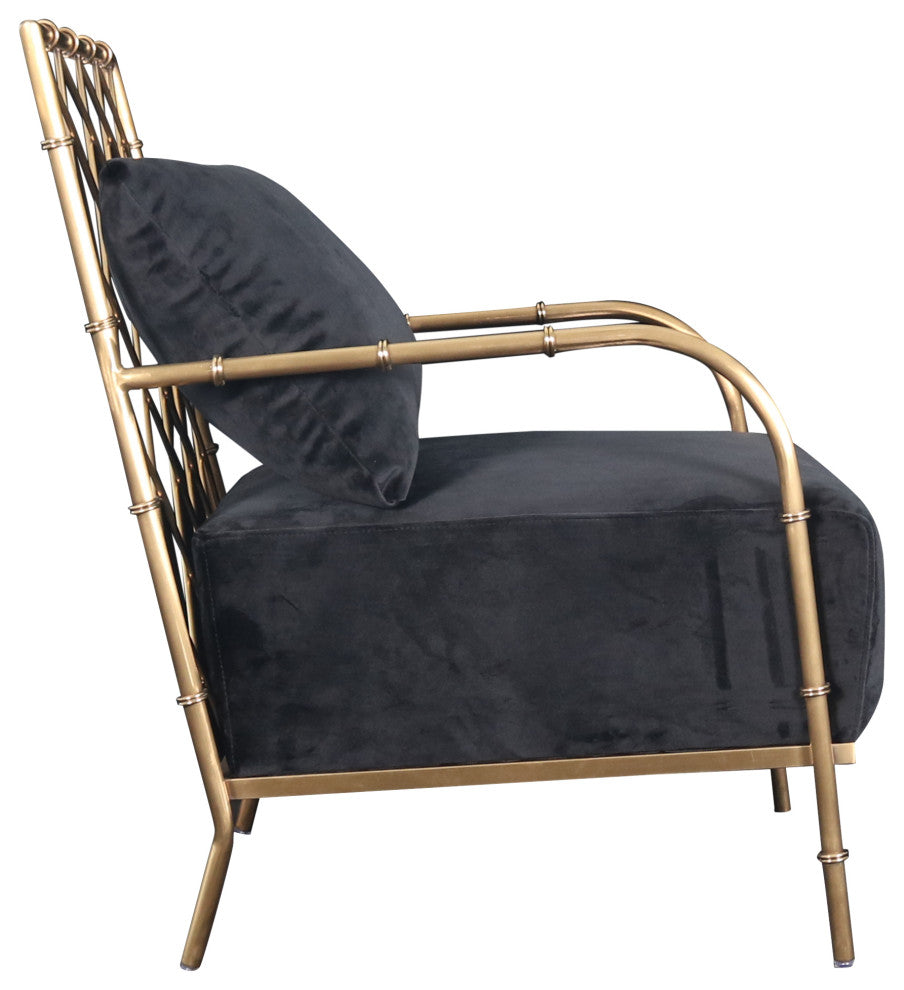 Divani Casa Ignacio Glam Black Velvet and Gold Accent Chair
