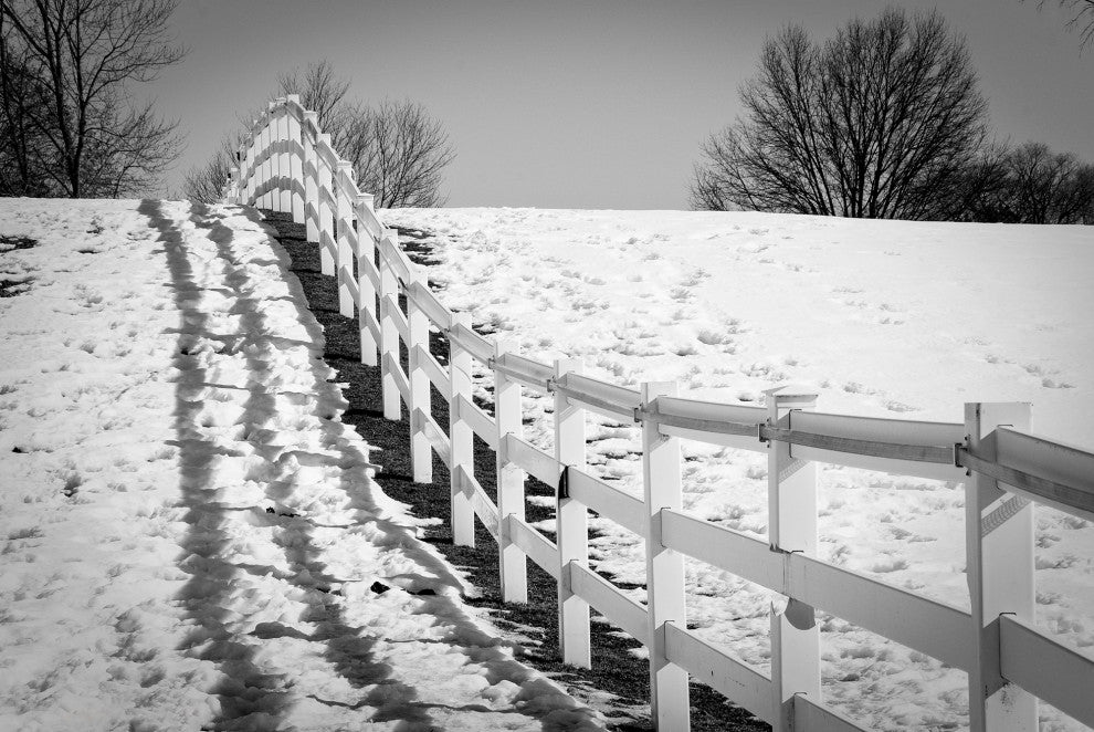 Endless Fences in Black & White Rural Landscape Framed Photo Paper Art Prints, Red Oak, 8" X 10"