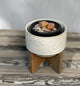 4" Constellation Ceramic Pot On Wood Stand, Ivory