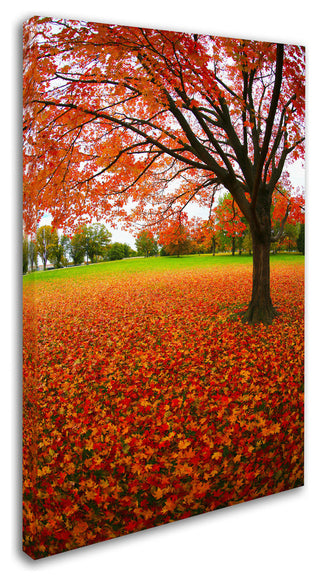 'Autumn Expressions' Canvas Art by CATeyes