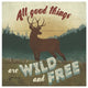 "Discover the Wild VI" Digital Paper Print by Janelle Penner, 42"x42"