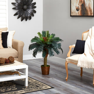 Product shown in a real room environment (lifestyle); entire plant visible.