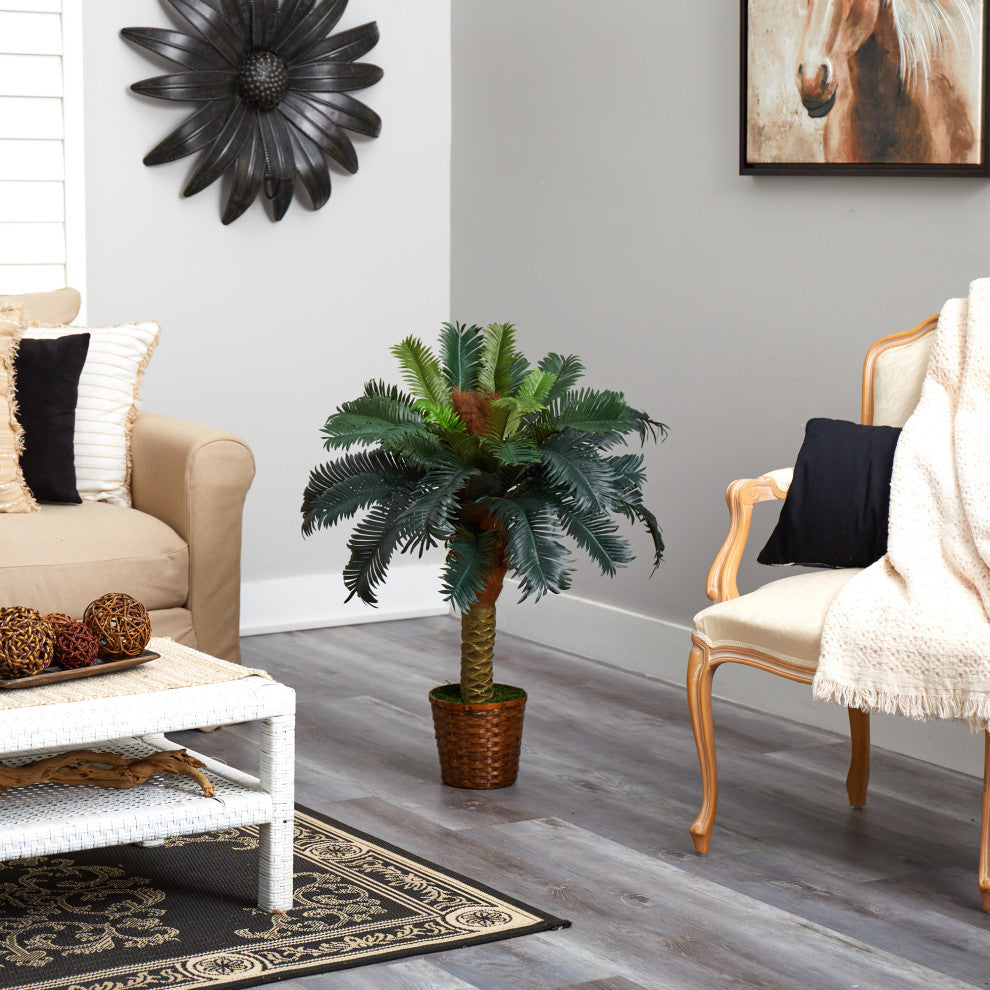 Product shown in a real room environment (lifestyle); entire plant visible.