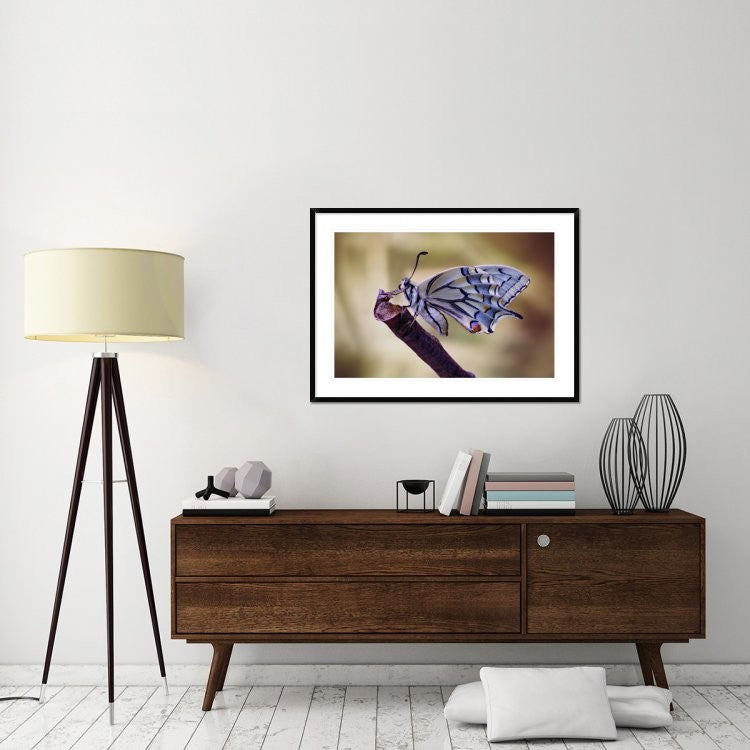 "Basking" Framed Digital Print by Jimmy Hoffman, 44x32"