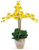 Triple Phalaenopsis Silk Orchid Flower Arrangement, Yellow