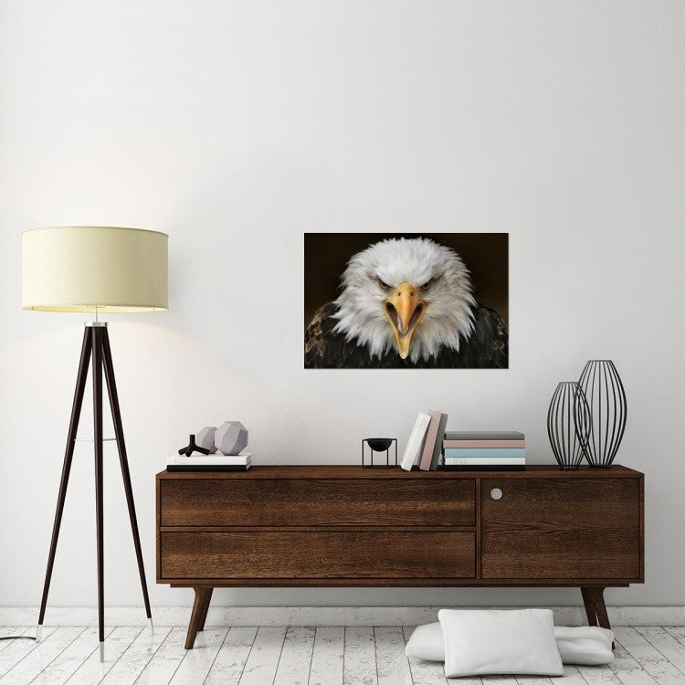 "Fierce" Stretched Canvas Giclee by Jimmy Hoffman, 36x24"