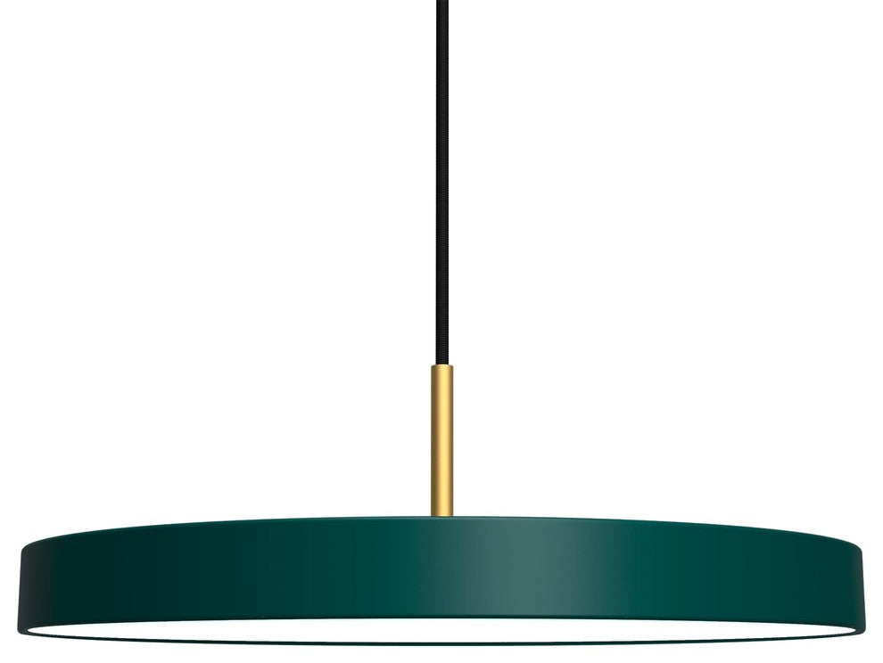 Asteria Flat-Panel LED Pendant Light, Forest