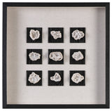 Uttermost 04080 Geode 21 5/8 Inch x 21 5/8 Inch Shadow Box by - Black