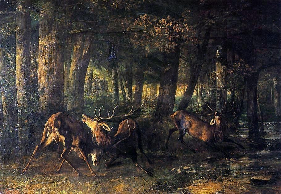 Gustave Courbet The Battle of the Stags - 18" x 27" Premium Canvas Print