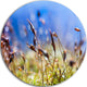 Abstract Summer Spring Moss Flowers, Landscape Round Wall Art, 11"