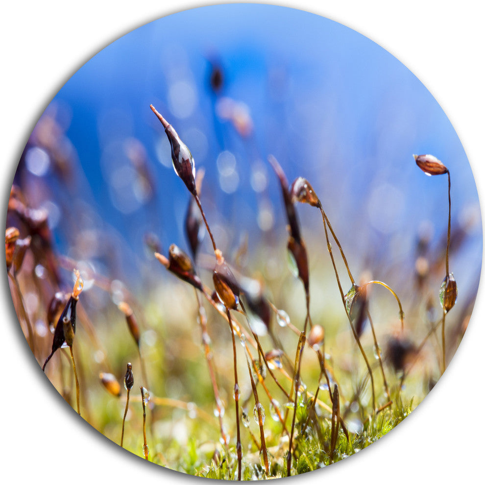 Abstract Summer Spring Moss Flowers, Landscape Round Wall Art, 11"