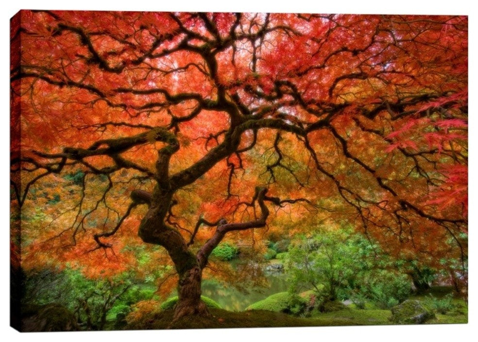 Epic Graffiti "Japanese Maple" by Jesse Estes, Giclee Canvas Wall Art, 12"x18"