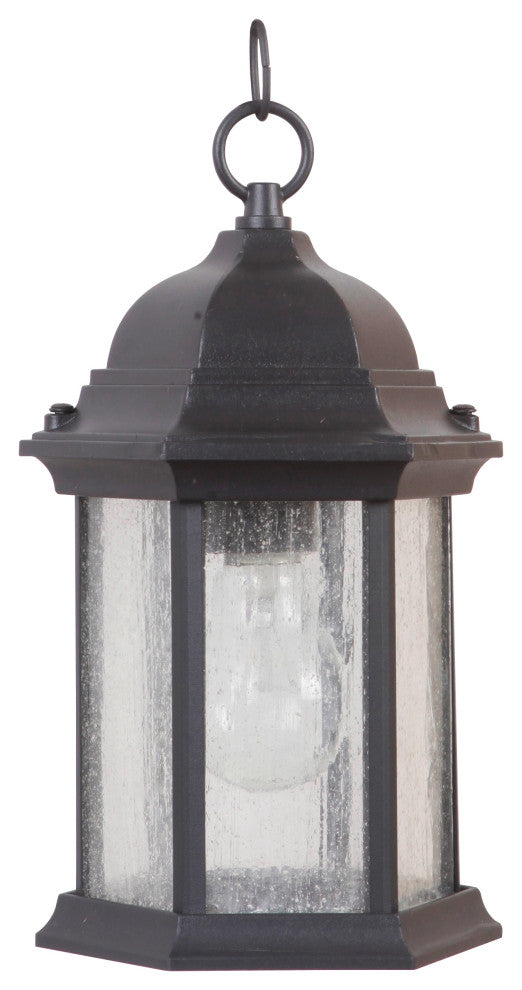 Hex Style 1 Light Outdoor Pendant In Textured Matte Black (Z291-TB-CS)