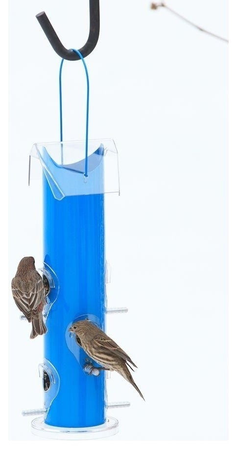 Perky-Pet 391 Metal Tube Wild Bird Feeder, Blue