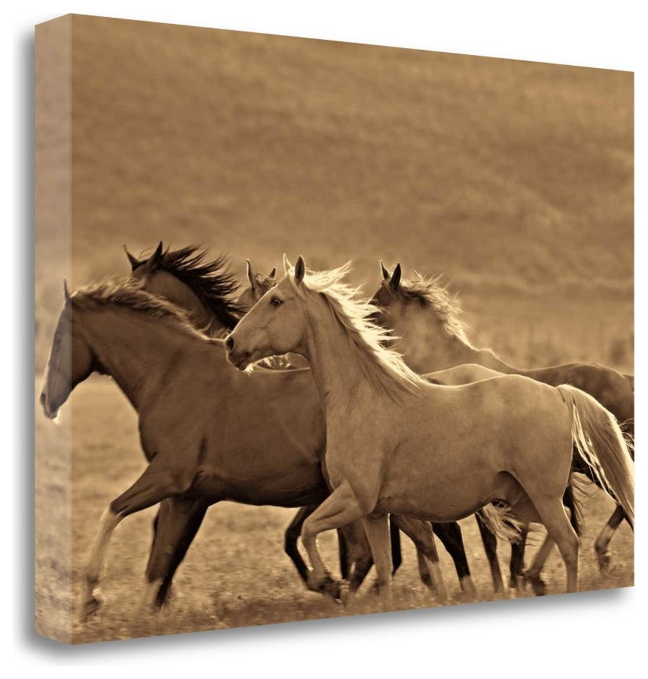 "Like The Wind II" By Wendy Caro, Giclee Print on Gallery Wrap Canvas