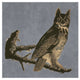 "Audubon Decor - Horned Owl Detail" Digital Paper Print by BG.Studio, 32"x32"