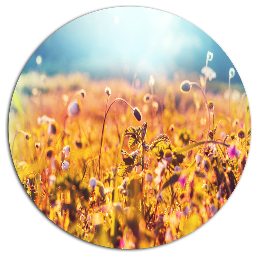 Little Mountain Flowers On Sunny Day, Flower Round Wall Art, 11"