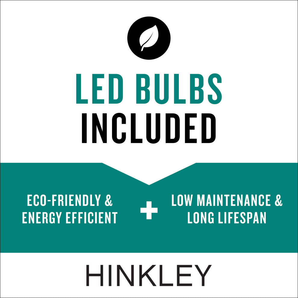 Hinkley Realm 12V Led Path Light, Black