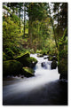 ''Waterfall in the Forest'' Canvas Art by Philippe Sainte-Laudy