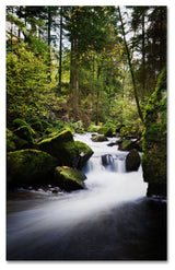 'Waterfall in the Forest' Canvas Art by Philippe Sainte-Laudy