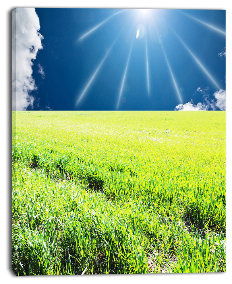 Sunny Field with Green Grassland, Oversized Landscape Canvas Art, 30"x40"