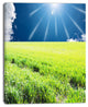 Sunny Field with Green Grassland, Oversized Landscape Canvas Art, 30"x40"