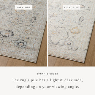 Loloi II Monroe Natural / Multi 2'-6" x 5'-9" Accent Rug