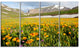 Mountain Plain with Wild Yellow Flowers, Floral Canvas Print, 48"x28", 4 Panels