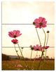 Blooming Cosmos Flower Field, Floral Triptych Canvas Art Print, 28x36, 3 Panels