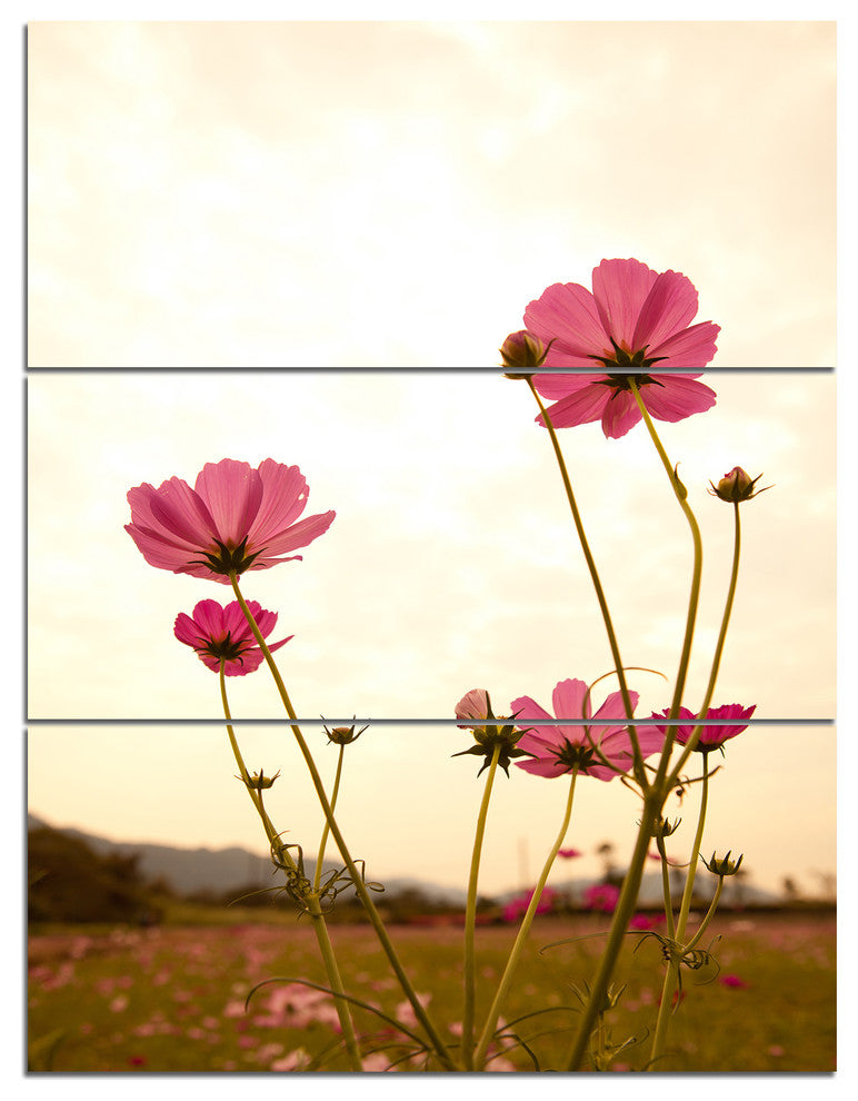 Blooming Cosmos Flower Field, Floral Triptych Canvas Art Print, 28x36, 3 Panels