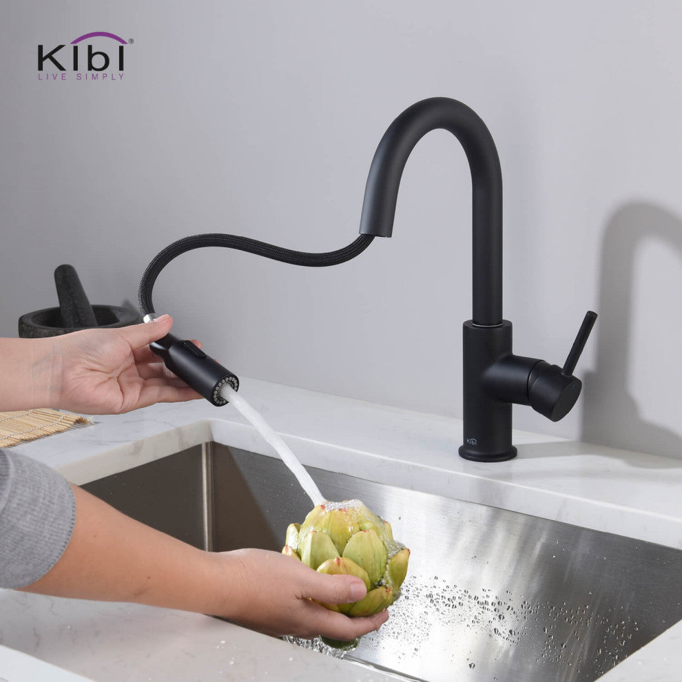 Luxe Single Handle Pull Down Kitchen & Bar Faucet, Matte Black