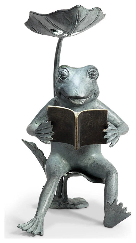 Reading Frog Birdfeeder with LED Light
