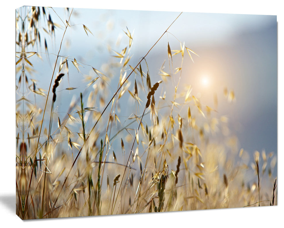 Typical Tuscany Sunset Italy, Landscape Canvas Art Print, 60"x28"