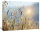 Typical Tuscany Sunset Italy, Landscape Canvas Art Print, 60"x28"