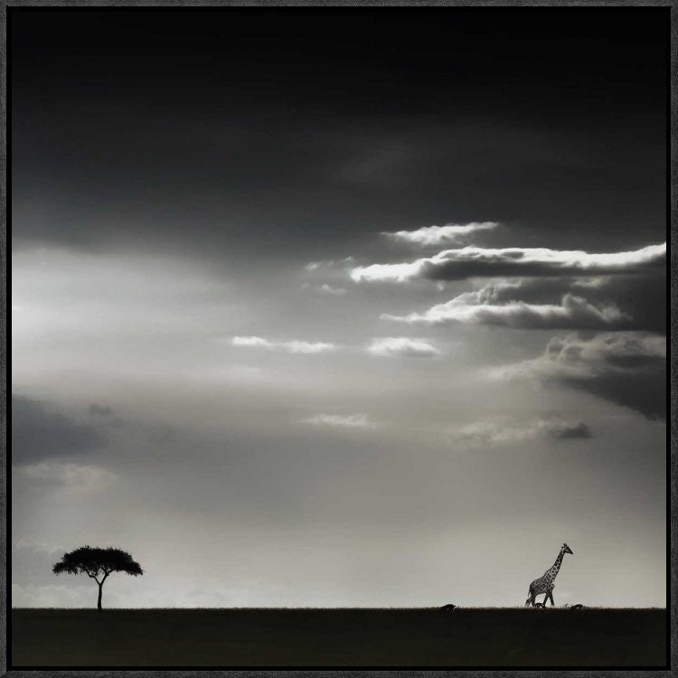 "15 Minutes Of Happiness" Framed Canvas Giclee by Piet Flour, 23x23"