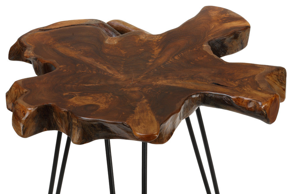 Bare Decor Evan Accent End Table With Solid Teak Root Top