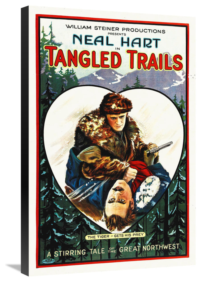 "Tangled Trails" Stretched Canvas Giclee by Hollywood Photo Archive, 20x30"