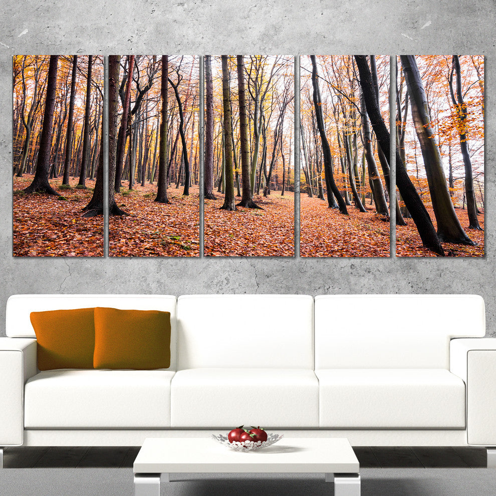 Bright Fall Forest with Clear Sky, Modern Forest Canvas Art, 60"x28", 5 Panels