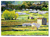 'Bordeaux Vineyards in Spring' Canvas Art by David Lloyd Glover
