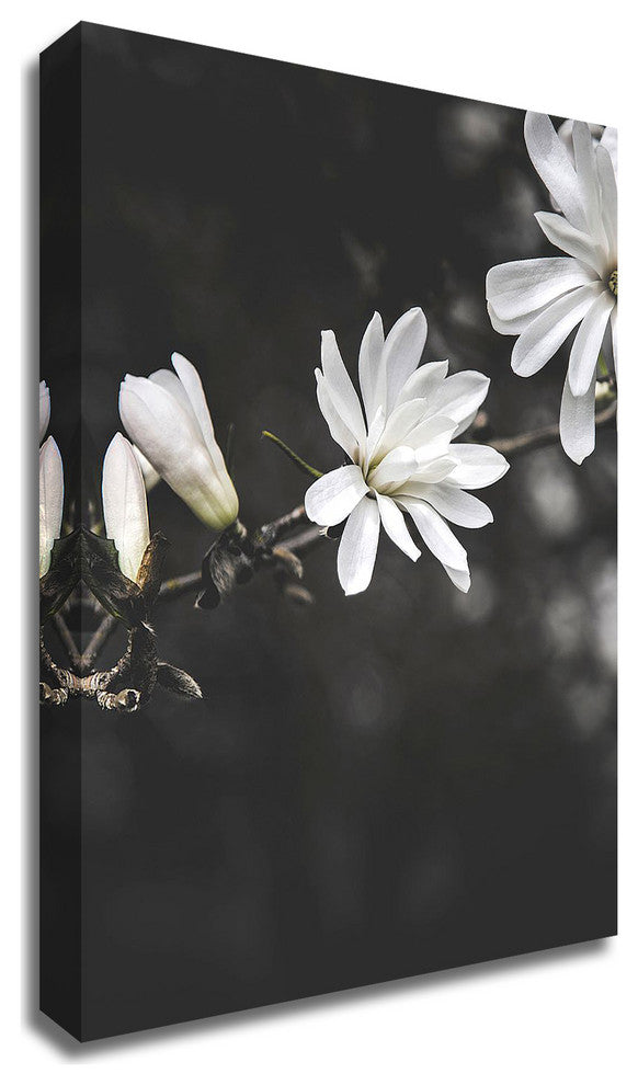 White Flowers by Design Fabrikken, Print on Canvas, 30"x42"