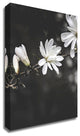 White Flowers by Design Fabrikken, Print on Canvas, 30"x42"
