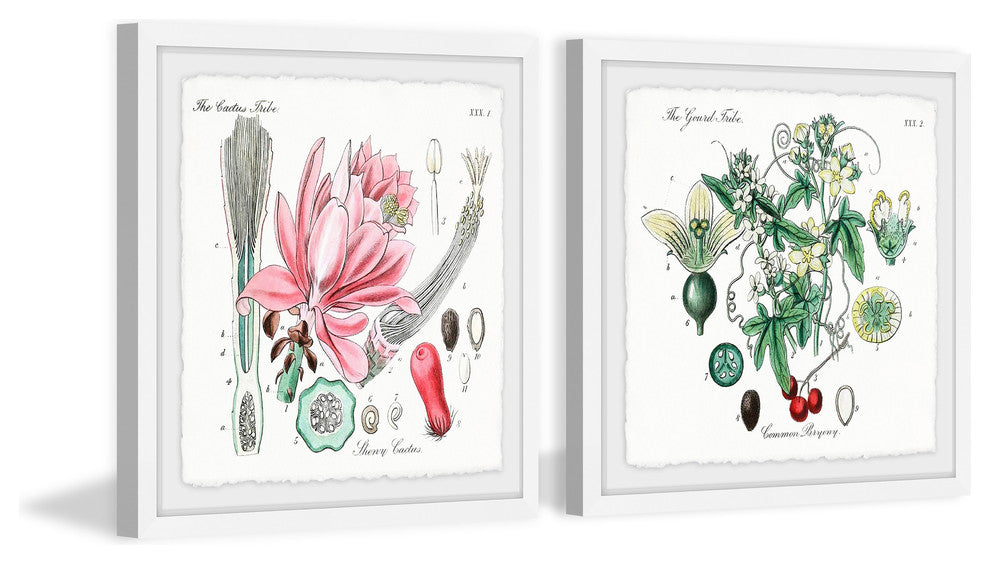 "Beauty Starts Here Diptych" Framed Prints, 18"x18", 2-Piece Set