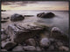 Log Dump Beach, Bruce Peninsula National Park, Ontario, Canada, 24"x18"