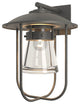 Erlenmeyer Large Outdoor Sconce, Coastal Natural Iron Finish, Clear Glass