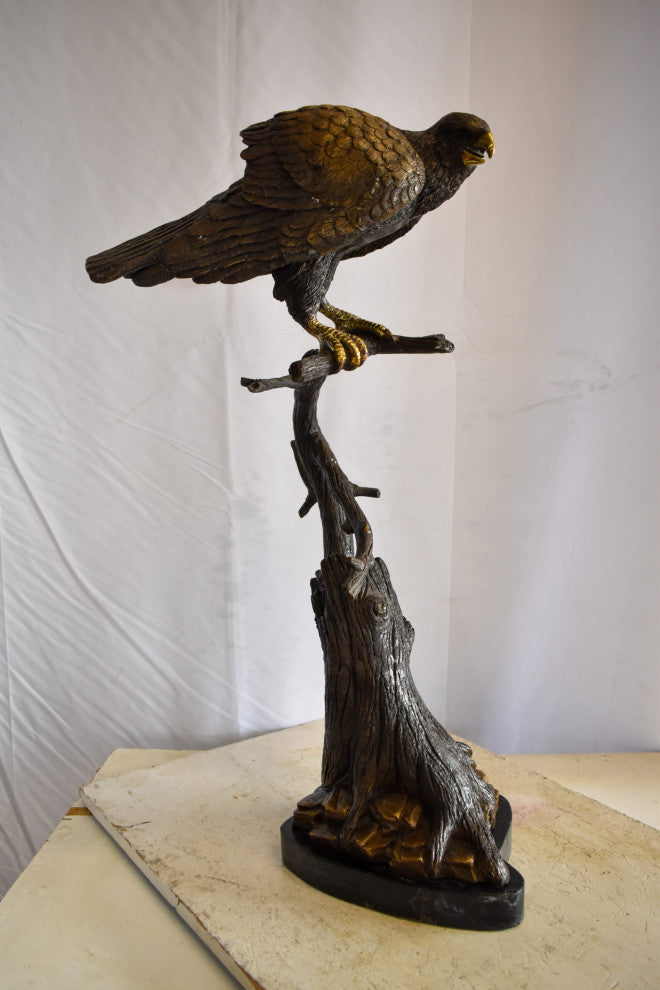 Observant Hawk on Arched Branch Bronze Statue 17" x 19" x 32"H