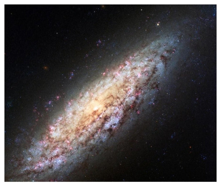 "Spiral Galaxy NGC6503" Digital Paper Print by NASA, 18"x15"
