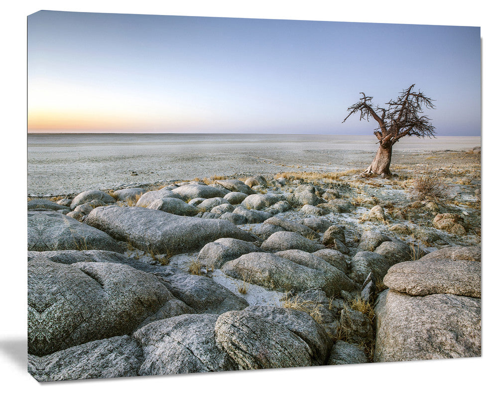 Baobab Tree on Rocky Terrain, Large Landscape Canvas Art, 20"x12"