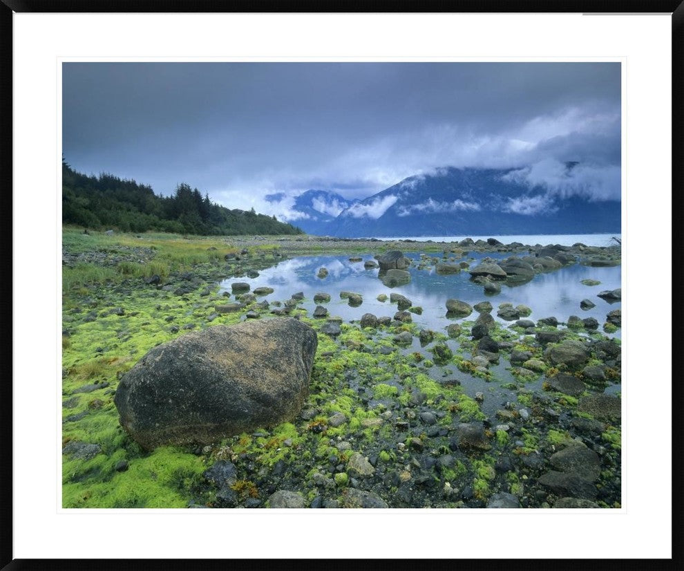"Low tide revealing algae covered rocks, Alaska"  by Tim Fitzharris, 43x36"
